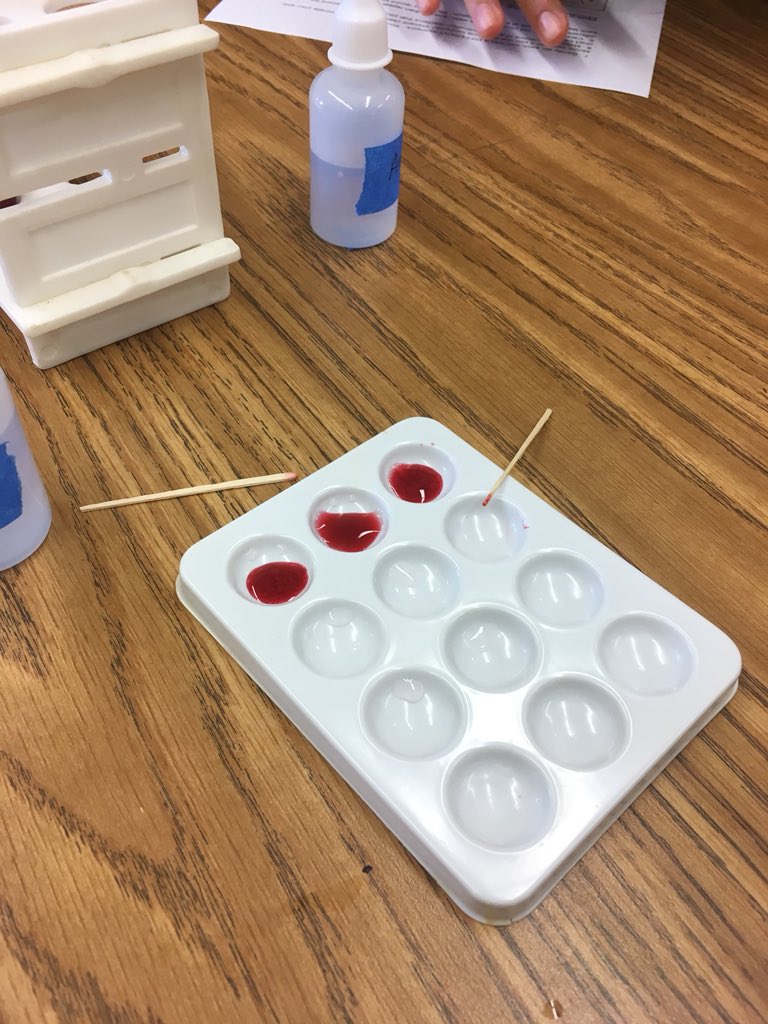 KWeidner1's tweet photo. 8th grade science CSI investigation underway—crime scene blood typing analysis #cdslearns #sciencerules https://t.co/wdGzr48OV8