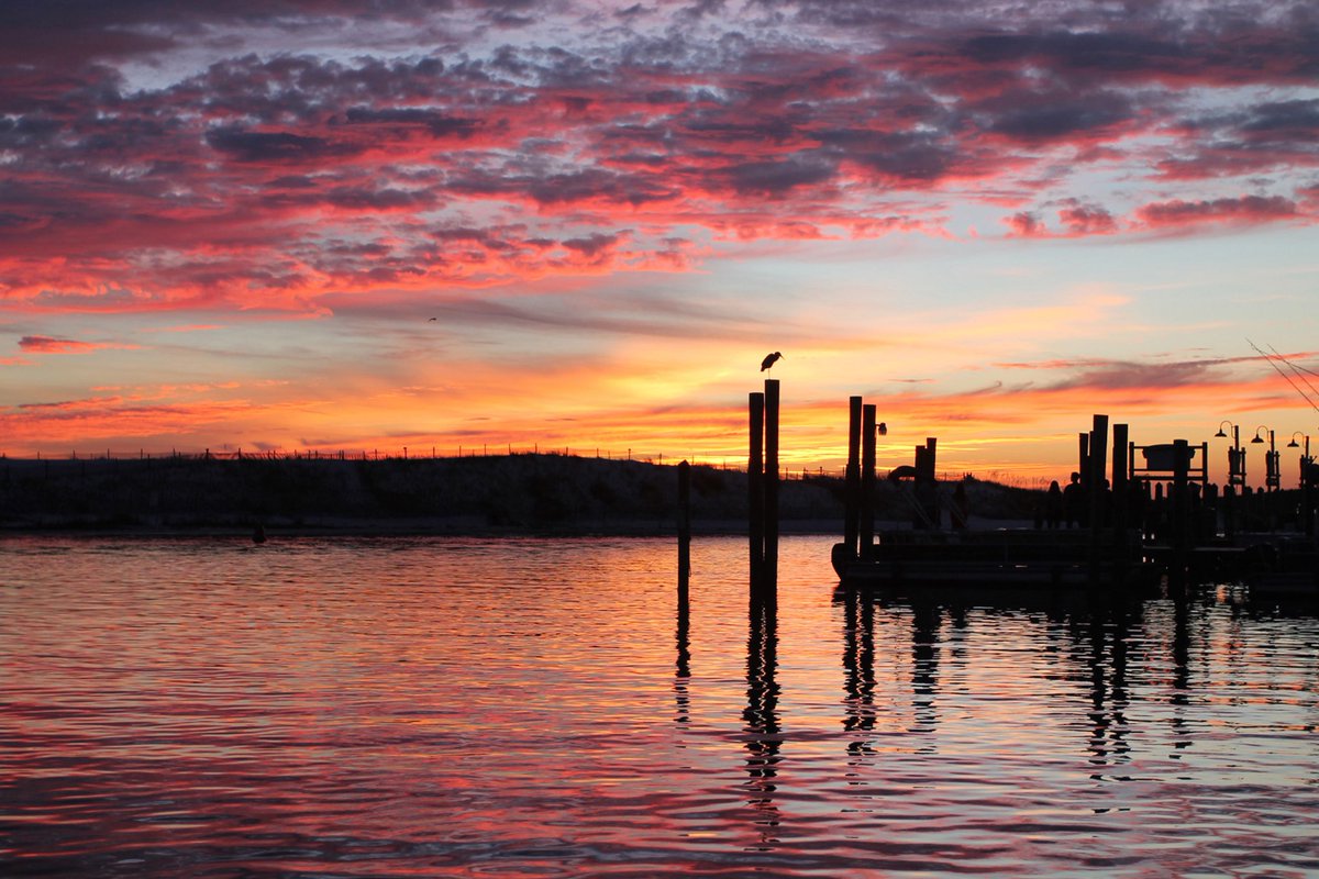 Fishing is life! #offshore #charterboatHorizon