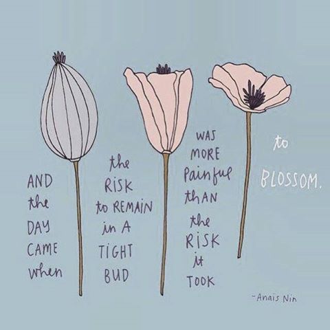SuprQueero's tweet photo. And the day came when the risk to remain in a tight bud was more painful than the risk it took to blossom. - Anais Nin
-
#superqueero #superqueer #lgbtmemes #queerpride #Latebloomer #selflove https://t.co/6GDguqSFHq