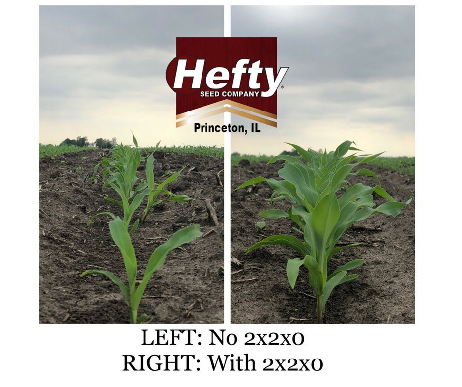 HeftySeed_NIL's tweet photo. We did some crop scouting on Friday and check out this difference! #heftyyields https://t.co/NvmVlifvlk