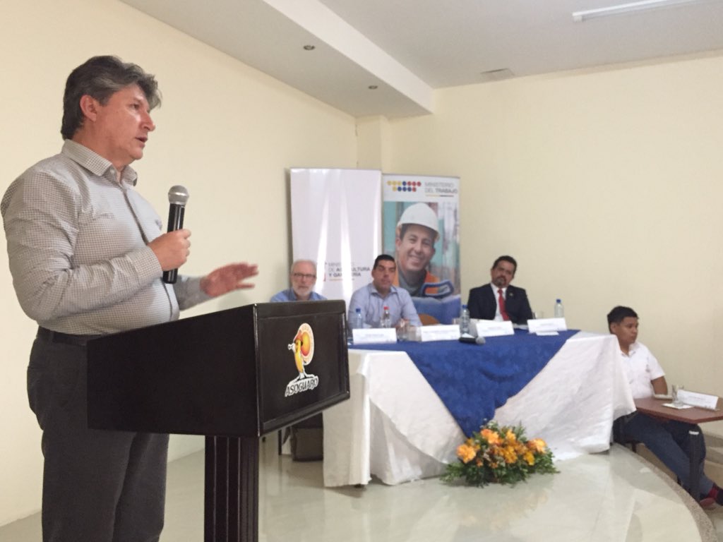 Rubén Flores Agreda tweet media
