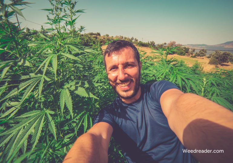 weed_reader's tweet photo. Youtube Creators Get Shut Down For Cannabis
https://t.co/atcuYBi7b2 https://t.co/RIUmg6pzTI