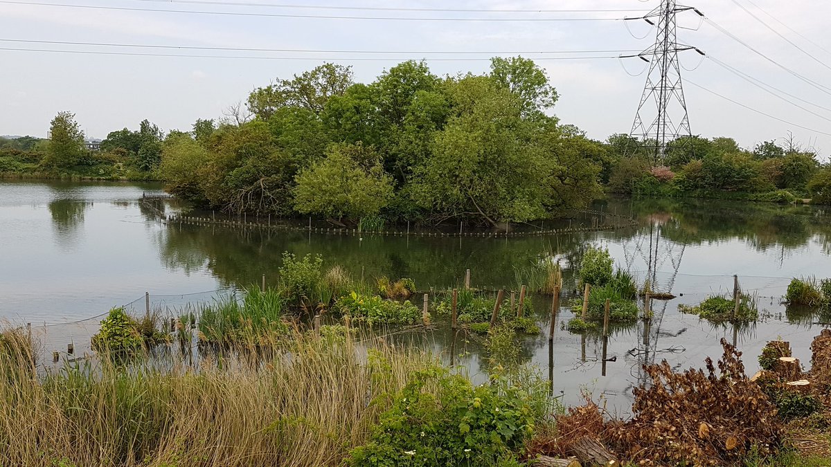 Saff_mtten's tweet photo. The beautiful #WalthamstowWetlands. So lucky to have this down the road. #naturelovers #water #walthamstow https://t.co/EDhQLXLWUb