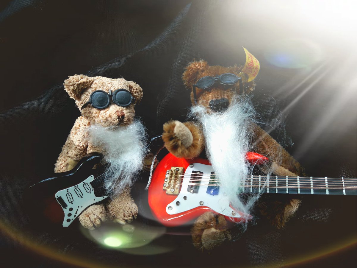 ZZ Top: ' sharp dressed bear' 🎶