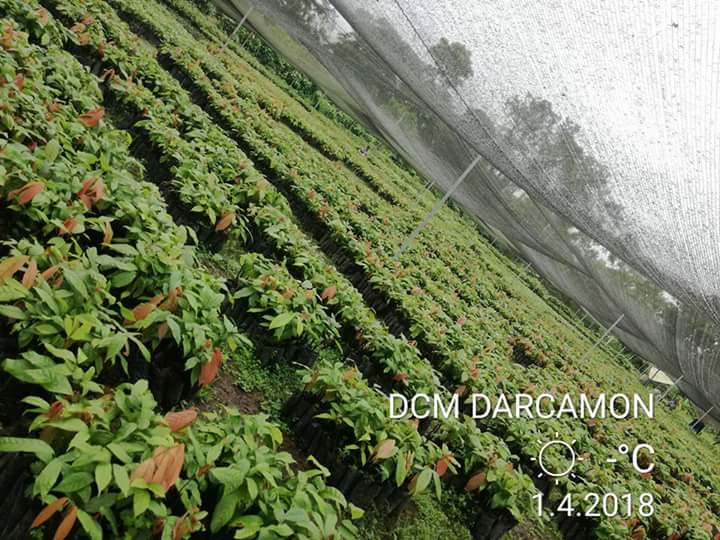 danielcazares22's tweet photo. El futuro siempre sera el campo... https://t.co/jYgSgYmjAU