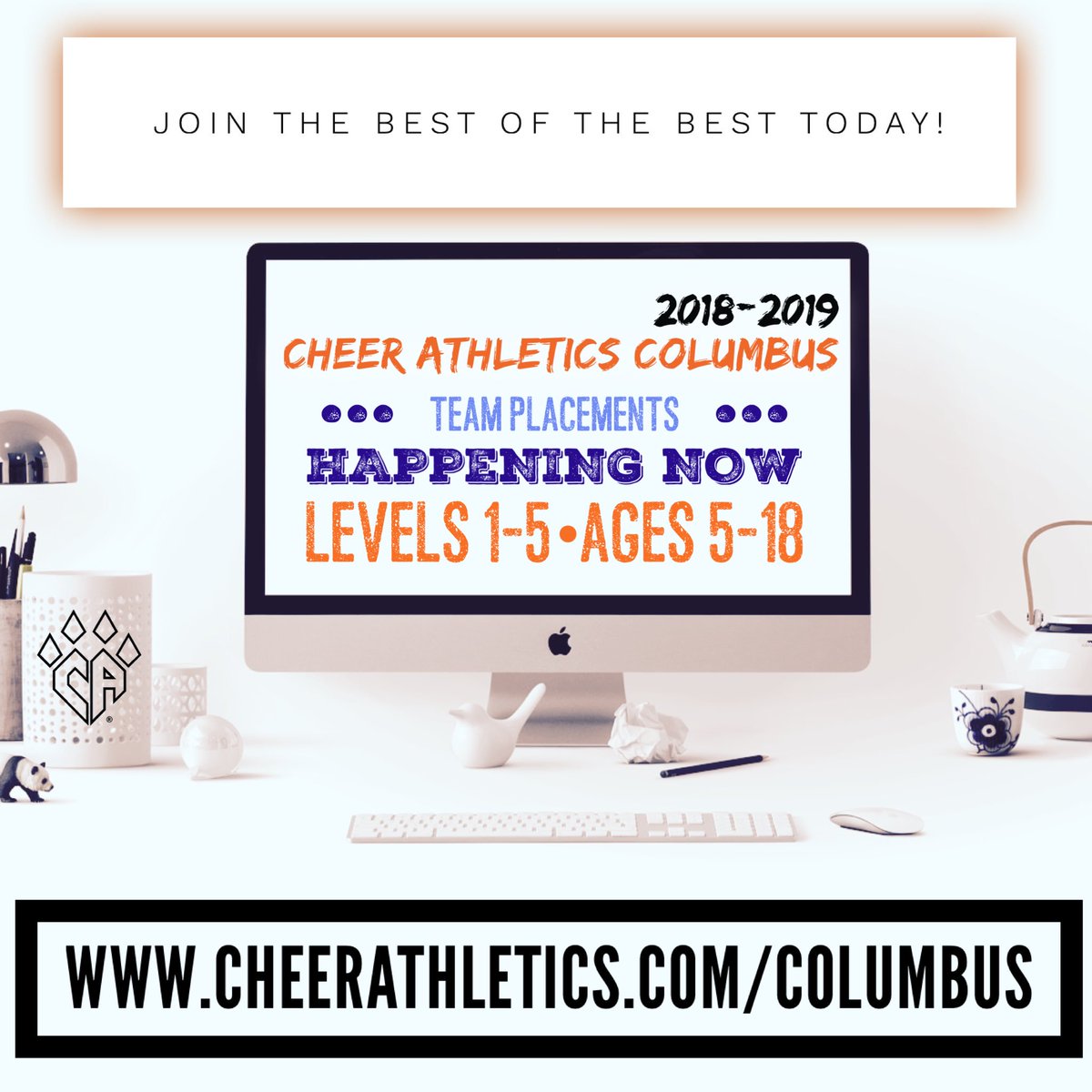 Team placements happening now! Session 2 begins tomorrow! 😼#TheRiseRound3