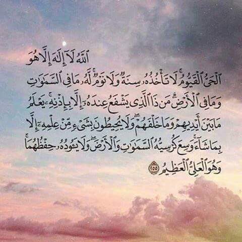 AmgaadSayed's tweet image. رتويت لعلها تشفع لك :❤️