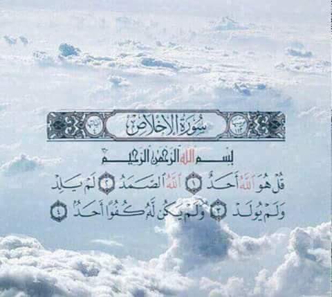 AmgaadSayed's tweet image. رتويت لعلها تشفع لك :❤️