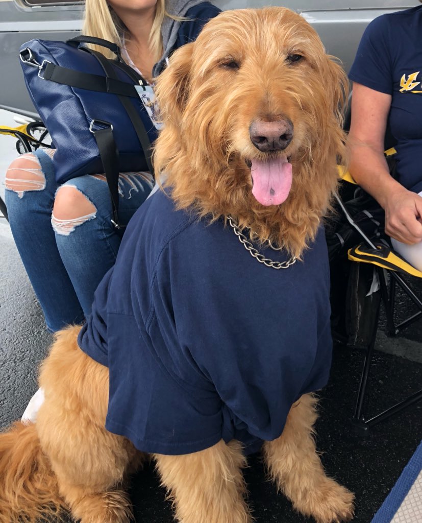 whyder13's tweet photo. @UCSDbsb Gettin’ ready for the big game! Go #Tritons!!! https://t.co/c3bt7BNEON