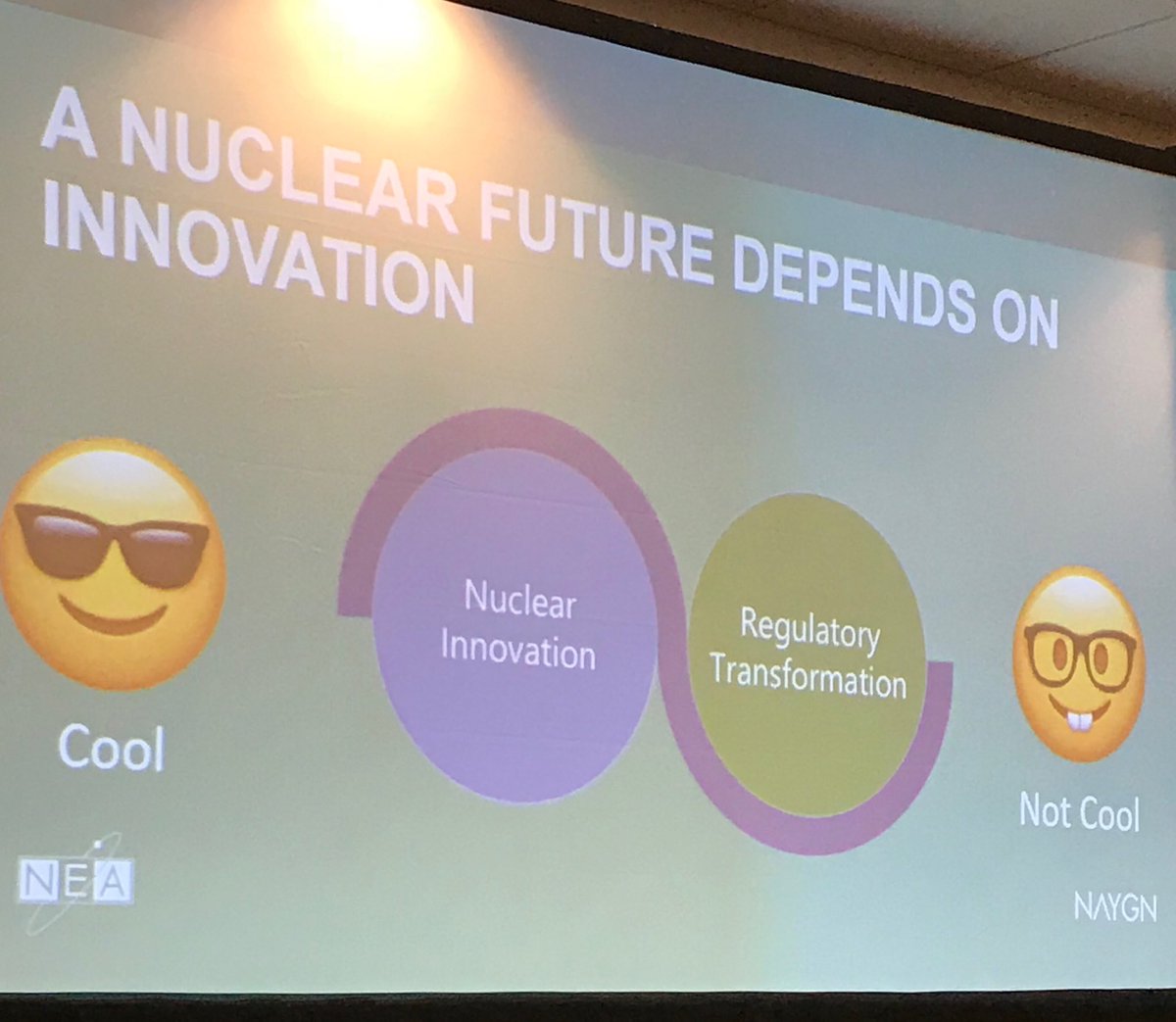 maria_pfeffer's tweet photo. @NA_YGN making nuclear cool again! #nuclearishot #NAYGN18 #NEA18 https://t.co/z92O2Rt13c