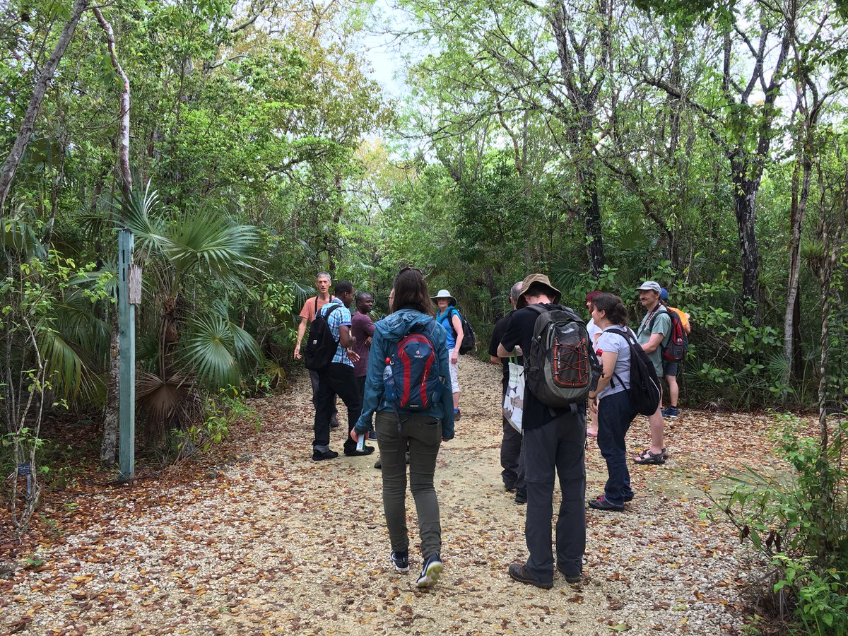 UKLadybirds's tweet photo. Making predictions about the next non-native species likely to arrive, establish and impact biodiversity and ecosystems in the Caribbean - amazing team gathered on Grand Cayman to assess diverse range of species across all environments @CEHScienceNews https://t.co/t4CaZ2oljD