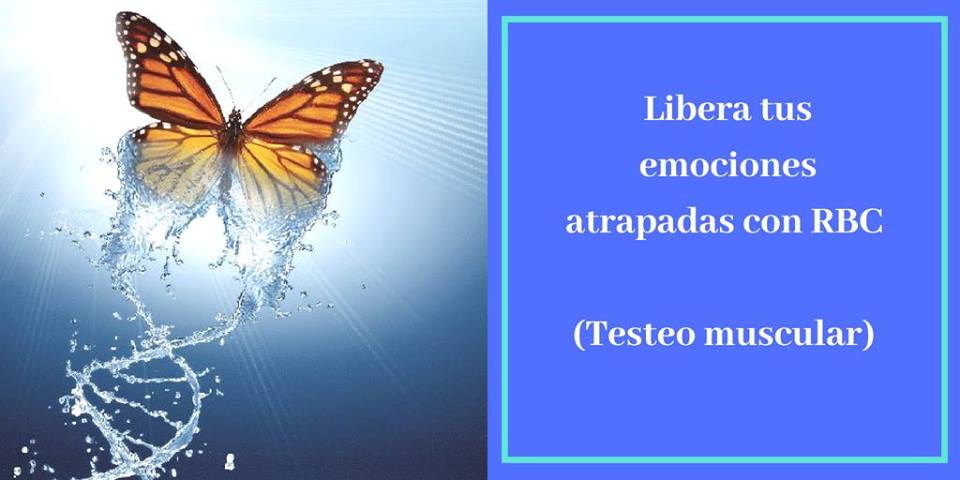 CreandoFuturo_'s tweet photo. INCORPORA UNA VALIOSA HERRAMIENTA para tu TRABAJO EN TU CONSULTORIO. IDEAL PARA TERAPEUTAS FLORALES, TERAPEUTAS HOLÍSTICOS, MASOTERAPEUTAS, REIKISTAS, COACHES, ETC.
https://t.co/skaTEmM5aq https://t.co/jjmfrndmXc