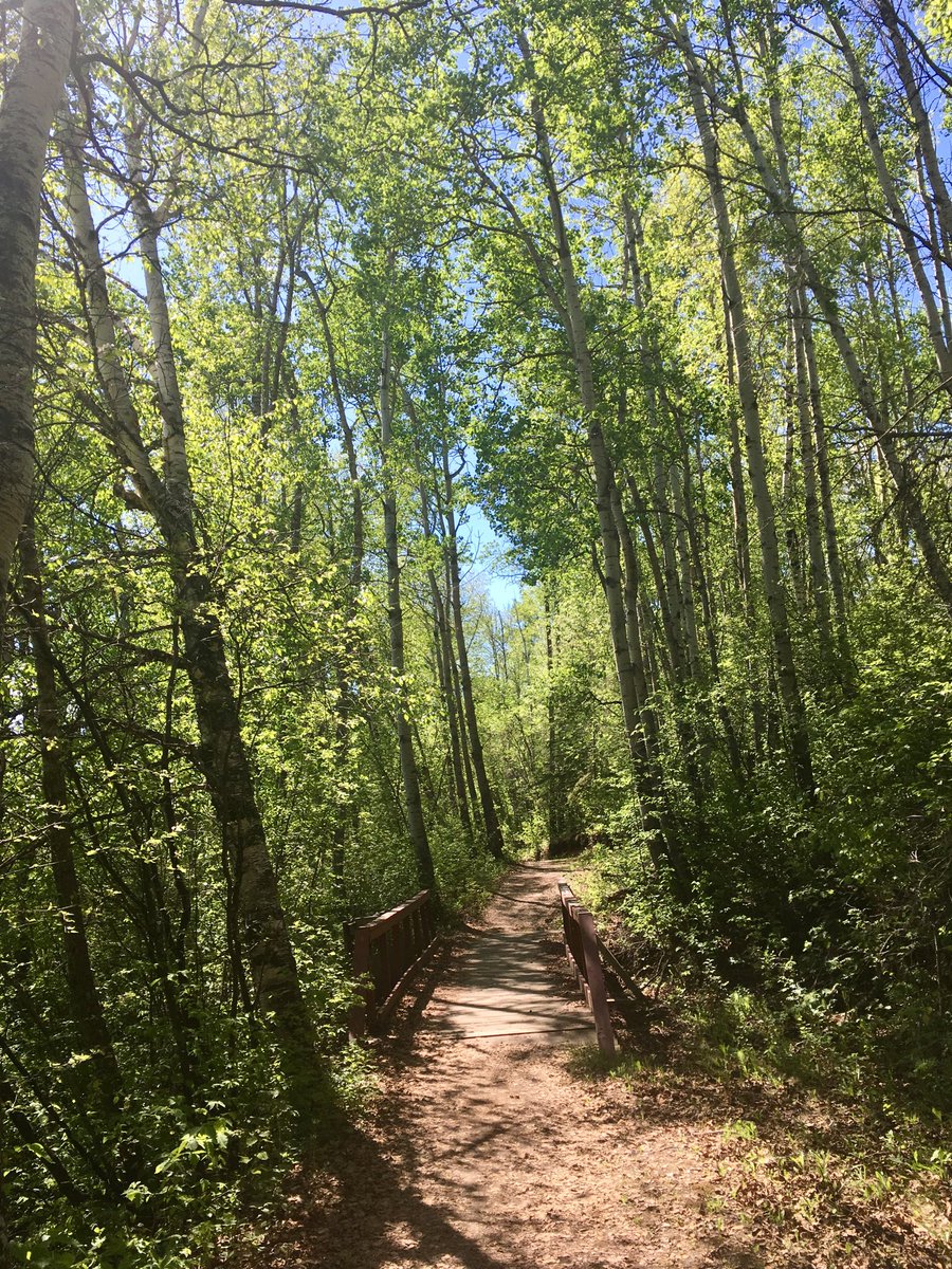 Feeling lucky to live in a town that’s full of amazing #rivervalley trails.