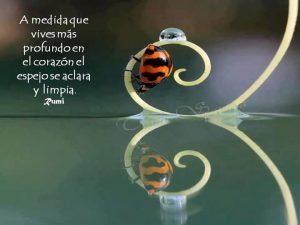 astroemociones tweet media