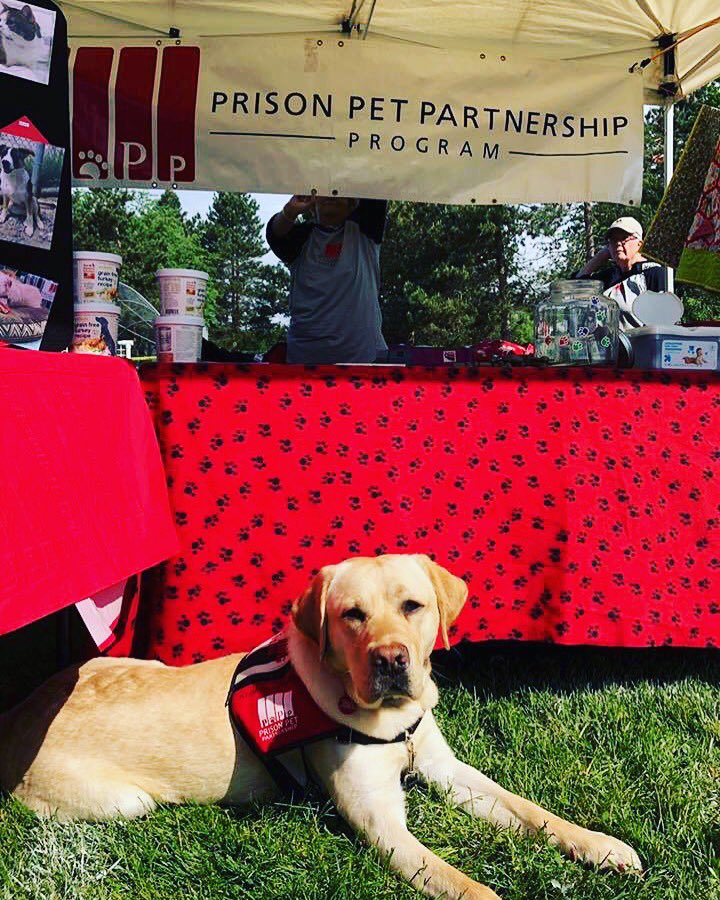 PrisonPetWA's tweet photo. #ServiceDog Garrett representing PPP at our #outreach event.  So #handsome! 

#prisonprogram #servicedogs #adoptables #dogsarefamily https://t.co/6A1uvv5bfC