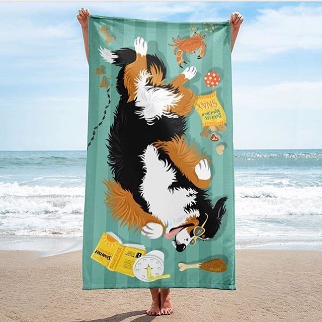beatrixandmidge's tweet photo. Summer is on its way, and soon the Sunberners will be hittin’ the beach! Super soft, big-dog-sized beach towels are in our shop now, click the link in the photo to check them out. #sprawlin #sunberner #beachtowel #berner https://t.co/agNy4xcQB9 https://t.co/IyJmwFHlkL