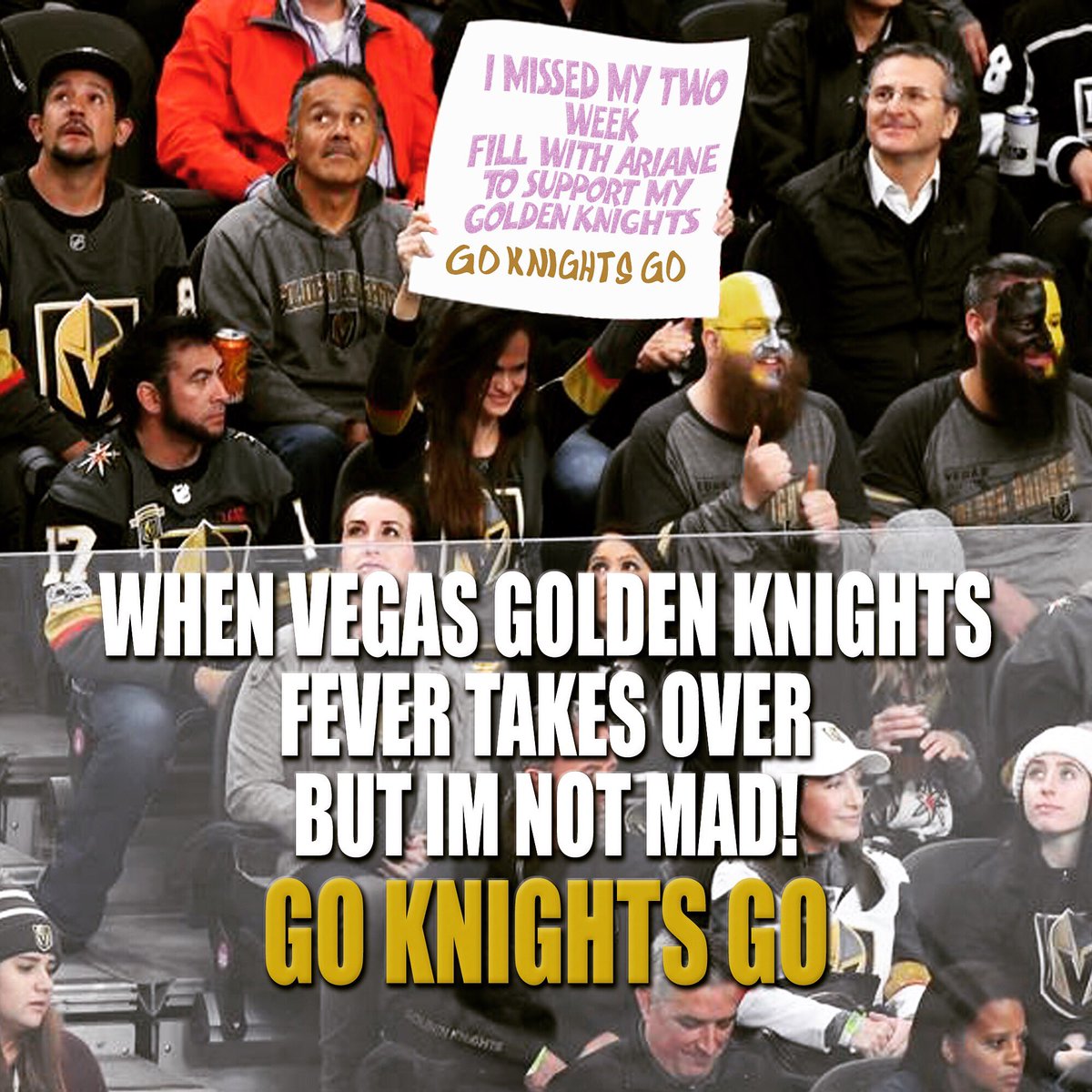 Meme Monday! Had to support the Golden Knights with this Meme!! Congrats on making it to the Stanley Cup Championship Series!  GO KNIGHTS GO!!
•
•
•
#VegasStrong #vegashockey #goldenknights #vegasgoldenknights #goknightsgo #vegasmeme #hockeymeme #LasVegasHockey