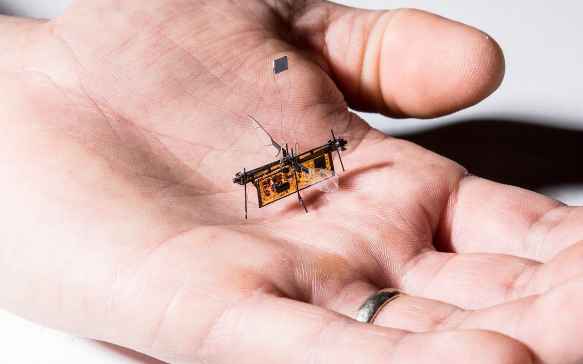 ideacity's tweet photo. This wireless 'robofly' looks like an insect and gets its power from lasers. Read to find out what this #robotfly is for > https://t.co/MVY3ZbHLNX #robots #ai #drone https://t.co/0NAneFzycb