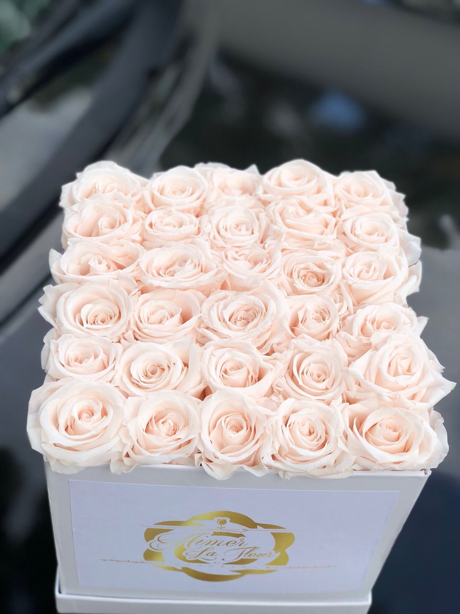 AimerLaFleur's tweet photo. Year Lasting Roses #PreservedRoses #YearRoses #AimerLaFleur #Roses #anniversary #Graduation #birthday #mothersday #valentineDay #Roses #miami #Fleur #Flowers #aimer #lafleur #foreverrose #sunflower #Roses #centerpieces #rosearrangement #flowerarrangement https://t.co/HDrdNFHs6E