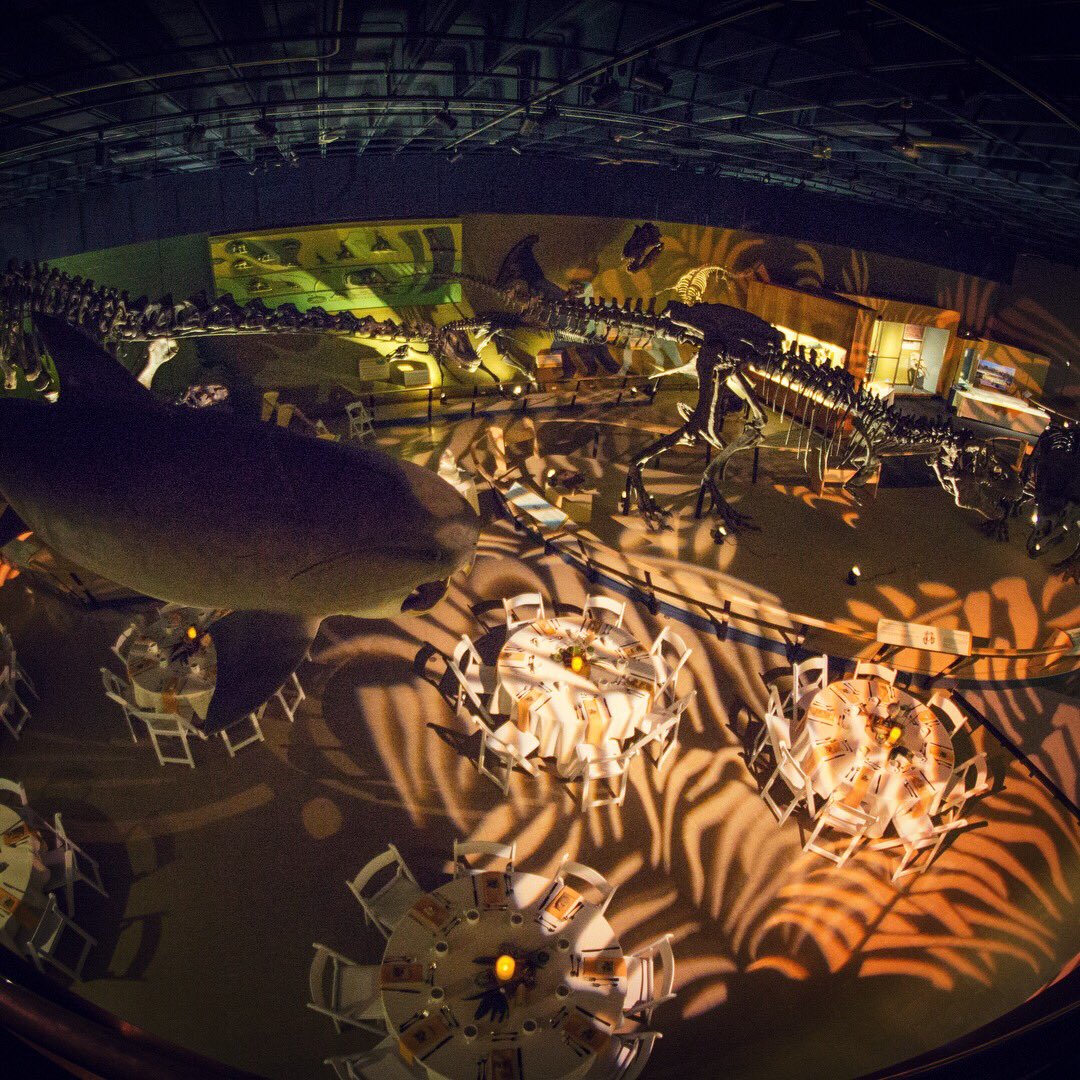 Here’s some #mondaymotivation to get working on those wedding plans!  Contact us today to reserve your date!  Link in bio. <a href="/goCMNH/">Cleveland Museum of Natural History</a> #NightAtTheMuseum #MuseumWedding #EventProfs #DineWithDinos #ClevelandWeddings #WeddingPlanner