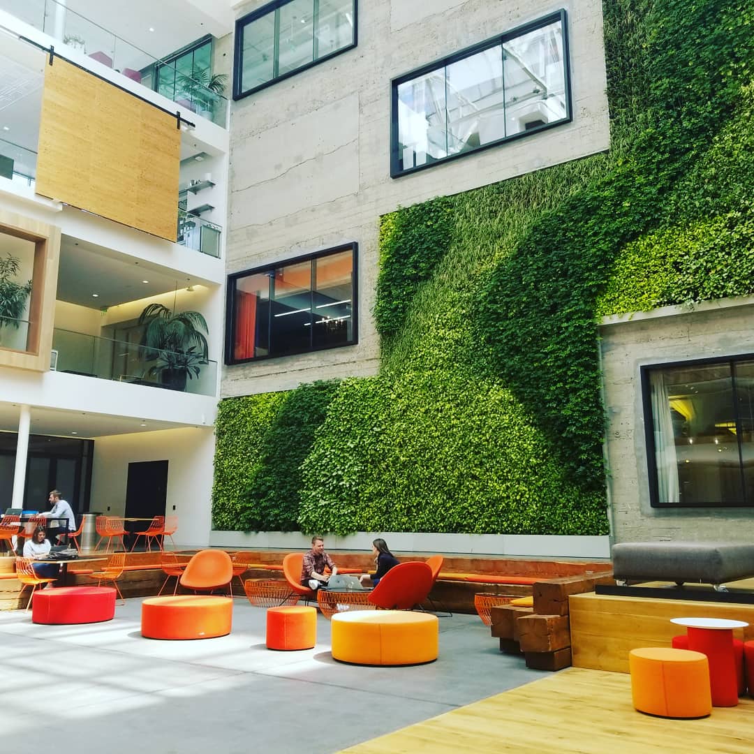 nextpivotpoint's tweet photo. Absolutely blown away by the hospitality @Airbnb today. Their commitment to #diversity and a #culture of #belonging is real. #beahost #equality #leadership https://t.co/Rm1wIjdbm2