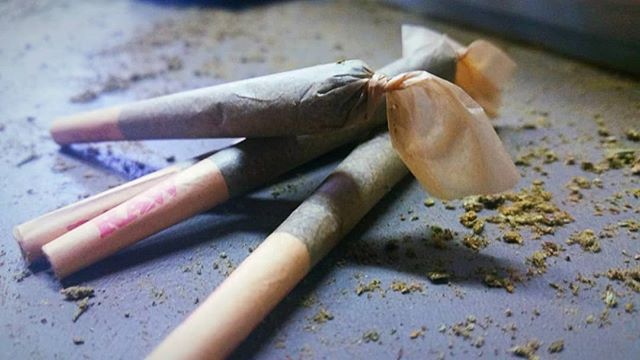 Annie420Bananie's tweet photo. It's a craft, really.
#northwestrosin #bigworms #rosin #kief #marijuana #joints #jointsfordays #stonergirl #iloveweed #smokeweed #cannabis #spokane #washington #spokanewashington #cheapandeasy https://t.co/aI0MlY8lBZ https://t.co/LXG6vvXZ4y