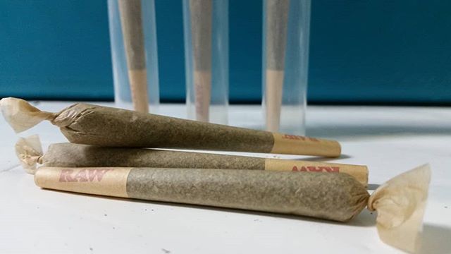 Annie420Bananie's tweet photo. Kief infused, full flower prerolls.
#northwestrosin #bigworms #rosin #kief #marijuana #weed #joints #jointsfordays #cheapandeasy #cannabis #washingtonweed #pnwcannabis #legalweed #spokane #washington #stonergirl #iloveweed #smokeweed https://t.co/NIHMPvzivM https://t.co/bLtvt1h8ZH