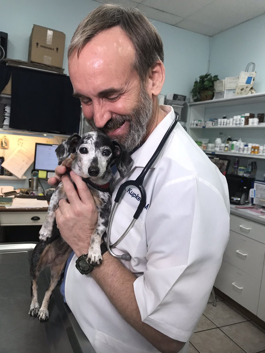 AmandaNBC6's tweet photo. I got to interview some adorable dogs today. Find out some important safety tips when it comes to #dogs and #toxictoads by tuning in to @nbc6 at 11pm. (https://t.co/RvCZut5Lp0) https://t.co/qfeM07GkTF