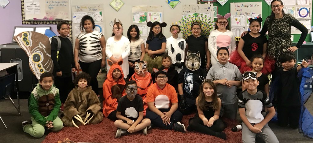 csanroman86's tweet photo. Our Animal Wax Museum was a success! #learningisfun #feastercharter #feasterlearns https://t.co/XovmR79hAl
