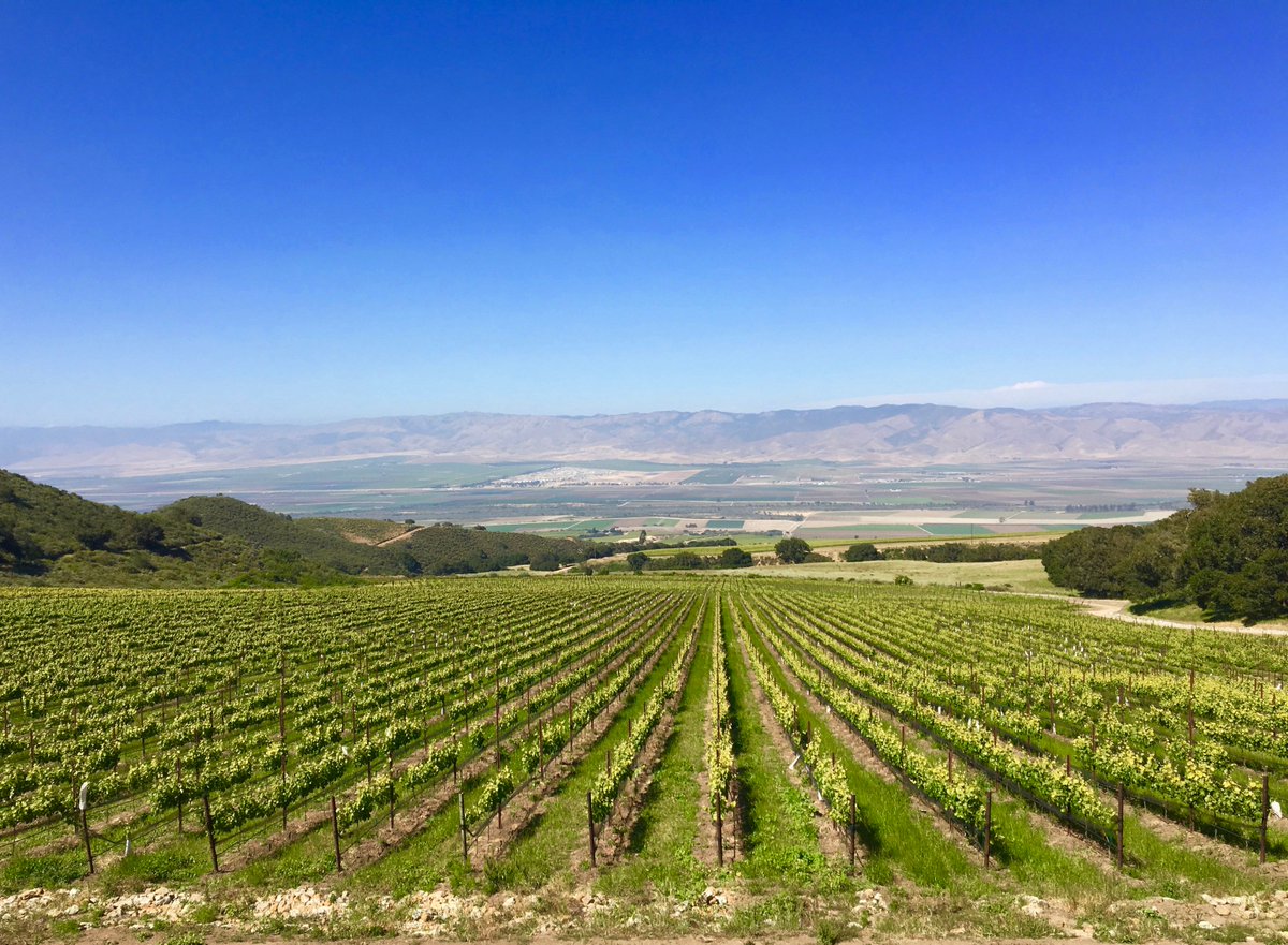 Great event for Santa Lucia Highlands <a href="/SLHWine/">Santa Lucia Highlands Wine Artisans</a> this weekend! Thank you for hosting <a href="/MerSoleilChard/">Mer Soleil Wines</a>  #PinotNoir, #Chardonnay #Syrah <a href="/sanjosemercury/">San Jose Mercury</a> <a href="/sfchronicle/">San Francisco Chronicle</a> #NorCal