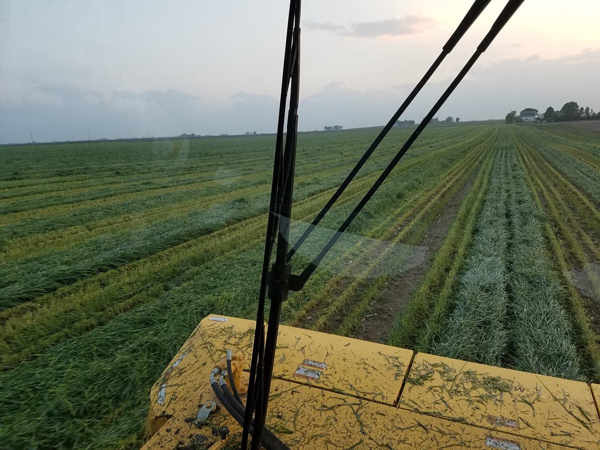 iaopps's tweet photo. Rye mowing now done. Now wait and bale https://t.co/XaCPZr54Yn