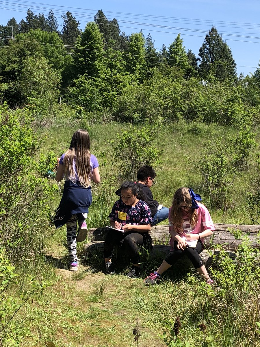 Observing in the THPRD Nature Park. A beautiful afternoon of learning. @THPRDNature
