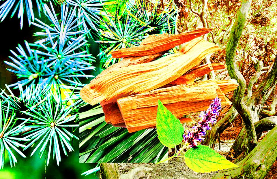IScentYouADay's tweet photo. Have you voted yet? @JardinRetrouve Perfume Party- You Choose The Next Fragrance! https://t.co/Svvsqyu8bx #perfumeparty #dotgame #perfume #scent #fragrance #Perfumerevivalproject https://t.co/YLwQCjnZOu