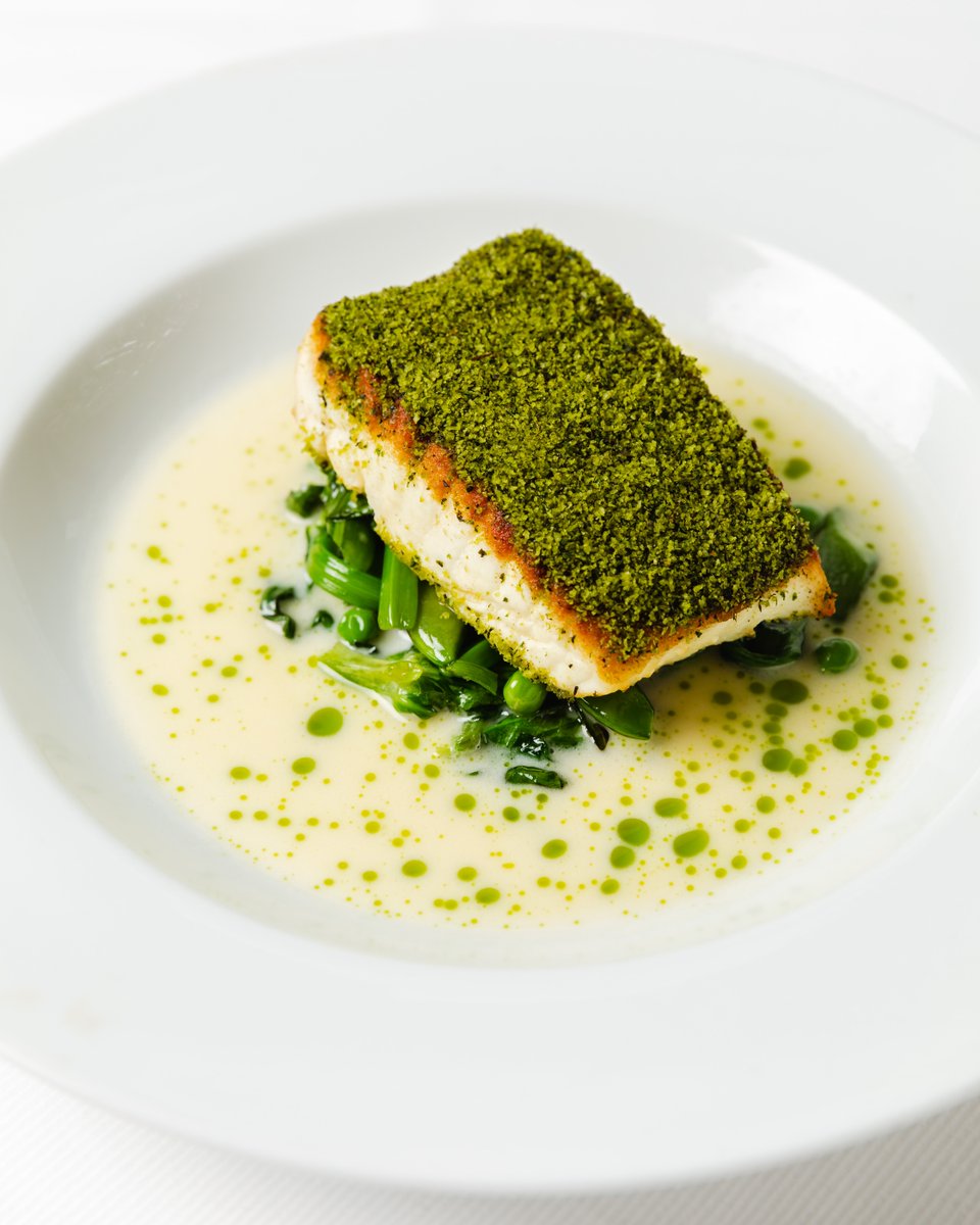 Herb-crusted halibut perched atop spring peas, mint, and a buttermilk broth #FlétanPoêlé