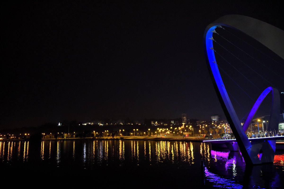 scape366's tweet photo. #scape366.com 143 - The @kingspark_wa providing a wonderful backdrop to a splendid #perth #night, with the #lights of the #elizabethquaybridge and the #statewarmemorial adding some #colourful #reflections to the #swanriver #nightscape https://t.co/aZ99aOmX6D