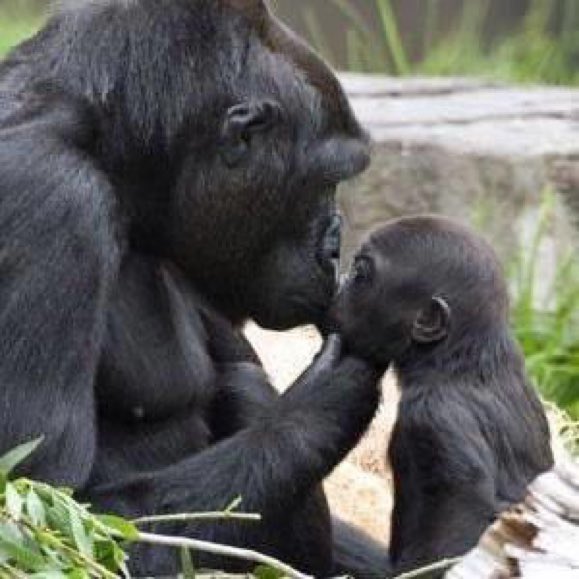 You are imperfect, permanently and inevitably flawed. And you are beautiful.PURE LOVE!