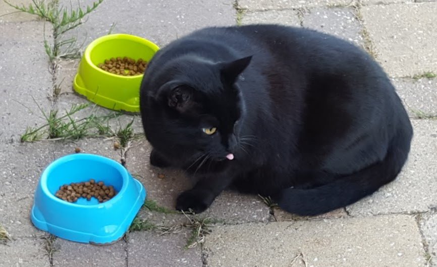 Iemco's tweet photo. Het eten bij de buren is altijd veel lekkerder! https://t.co/W3bKrWdkeR