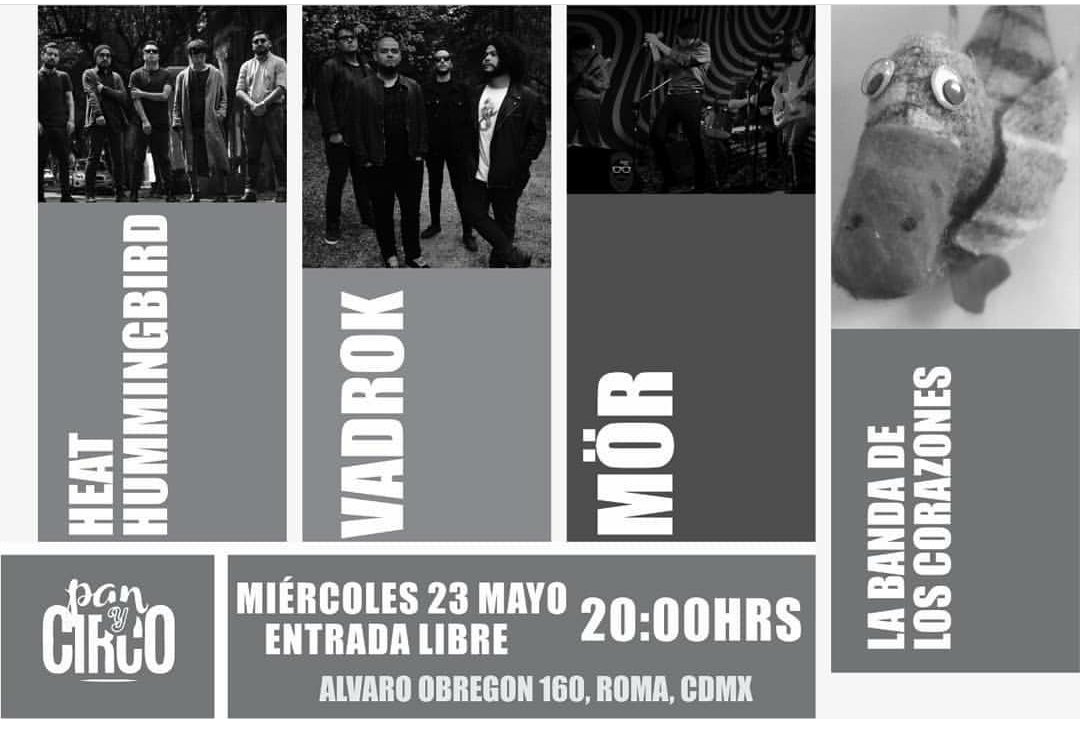 Rockola_rock's tweet photo. Miércoles 23 de Mayo 2018 a las 20:00hrs en @PanyCircoMxDF Se presentan @heathummingbird @VadrokMx #Mör @corazon121314 ENTRADA LIBRE 
#heathummingbird #vadrok #labandadeloscorazones #panycirco https://t.co/XXFyulZMNt