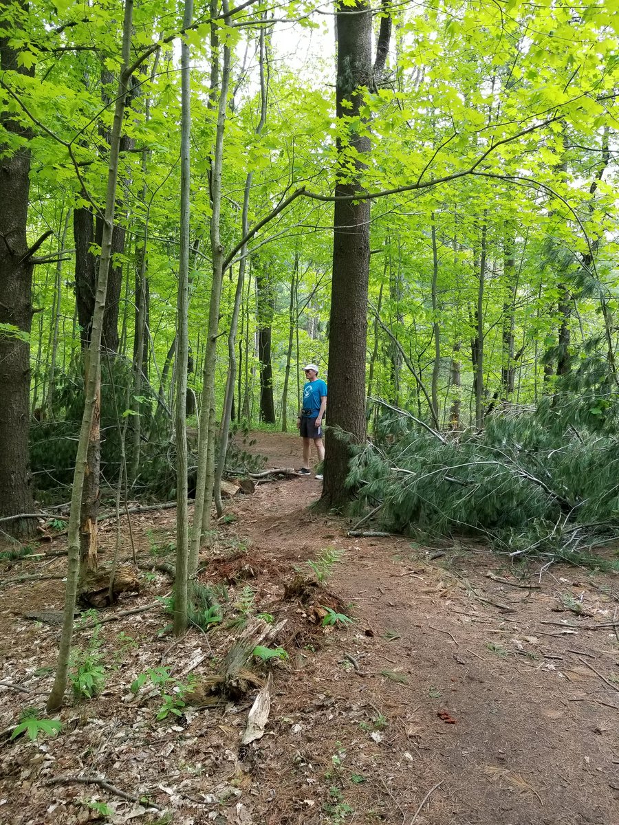Sulphur Springs Trail Races tweet media