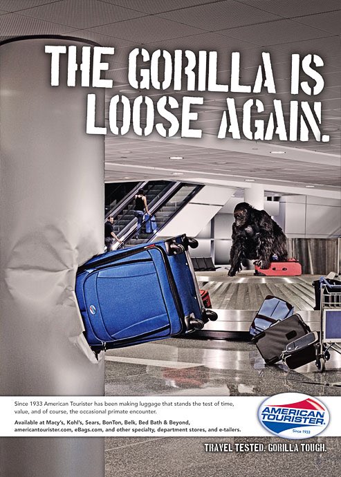 american tourister gorilla