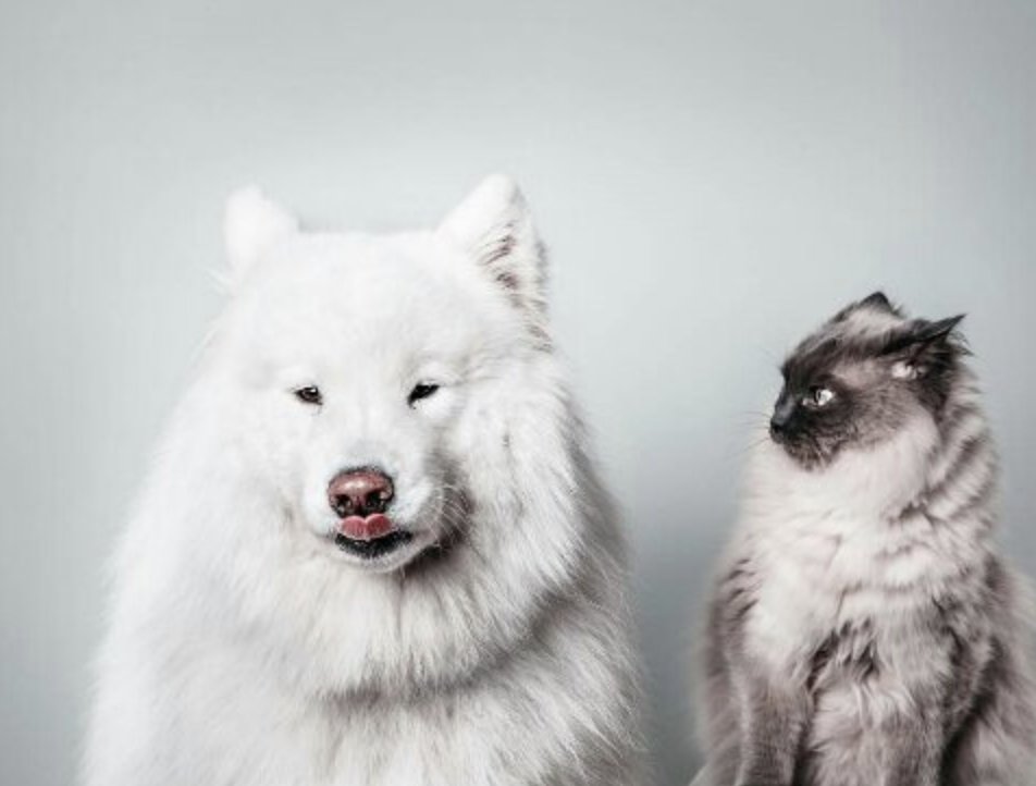 Lo he visto y vengo a compartirlo con vosotros porque me parece una maravilla.