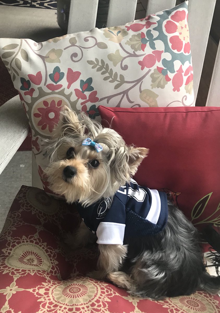 testonmellissa's tweet photo. StellaLuna says LET’S GO LIGHTNING!💙⚡️💙⚡️#tampabaylightning https://t.co/743GgPGM0c