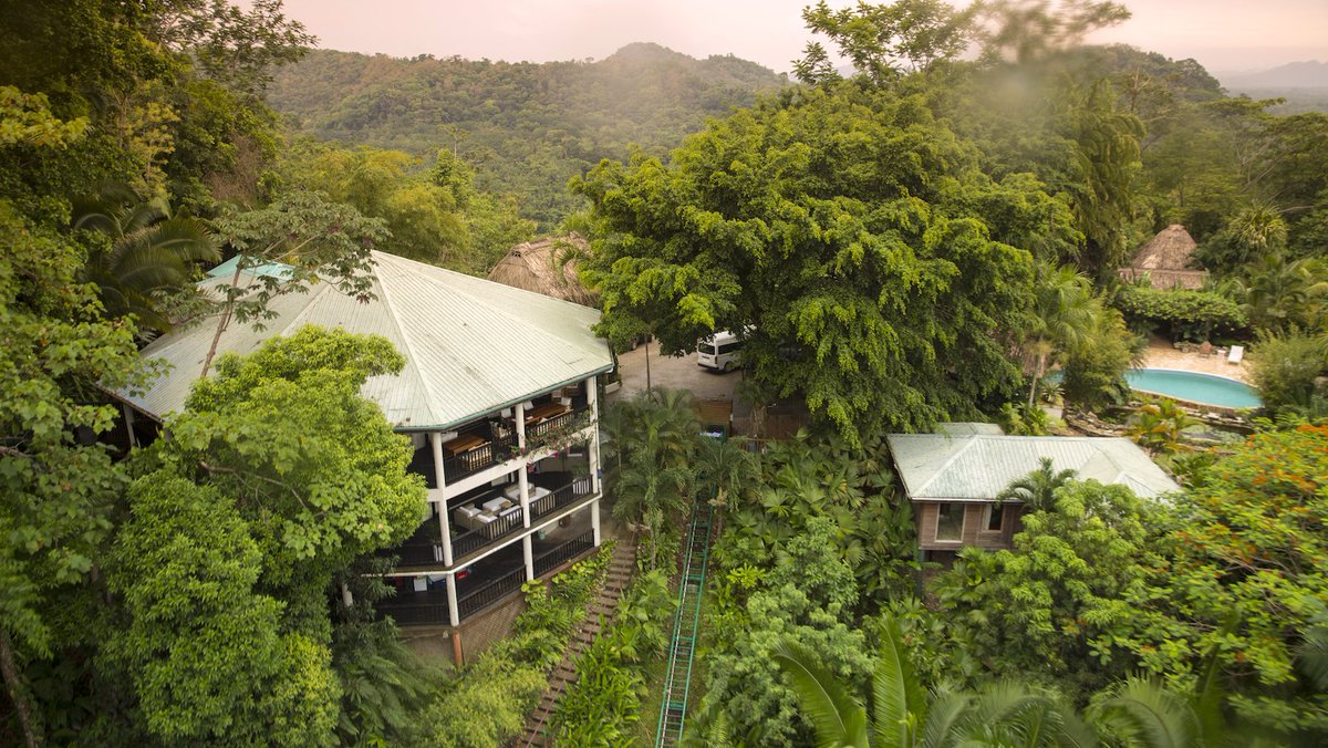 CopalTreeLodge's tweet image. Hidden in the jungles of Belize, you'll find the luxurious vacation destination you've been dreaming of!
📸: @LouiseUngless 
#travelBelize #luxuryresort #tropicalparadise #vacationdestination #ecolodge #jungleresort #preservation
