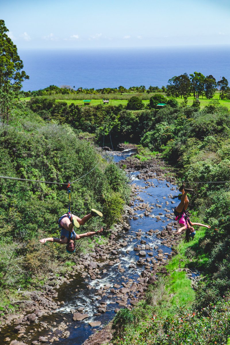 umaumaexp's tweet photo. #MondayMotivation @umaumaexp #HawaiiIsSafe #TrySomethingNew #ZiplineHawaii https://t.co/vXDnvnH1Rh