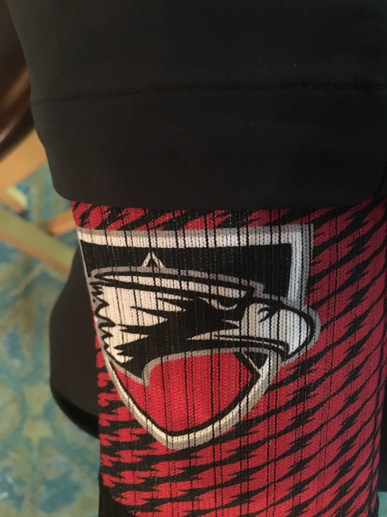 sflanaganec's tweet photo. You say Monday. I say Eagle Spirit day. @edgewoodeagles https://t.co/ho2y8hU4T0
