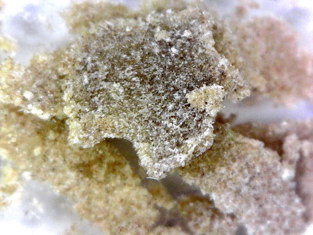 seattlepure's tweet photo. What do you think of our new line of solventless concentrates?
—————————————————
#seattlepureextracts #seattle #pure #extracts  #tastethedifference #cannabis #cannabisconnoisseur #420 #winterized  #highaf #stoned #weedlife #fko #joint #flower #kief #oil #sublima #solventless https://t.co/lpbKe9s6ET