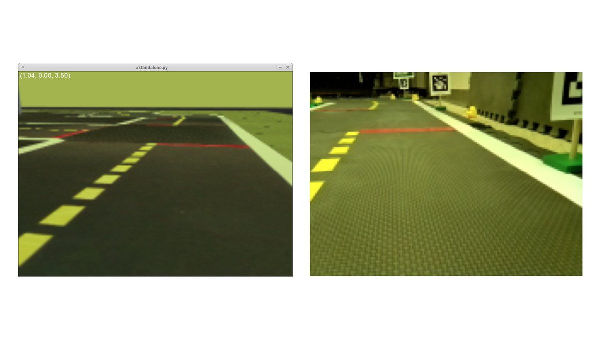 hardmaru on Twitter "Duckietown selfdriving car simulator environments for OpenAI Gym