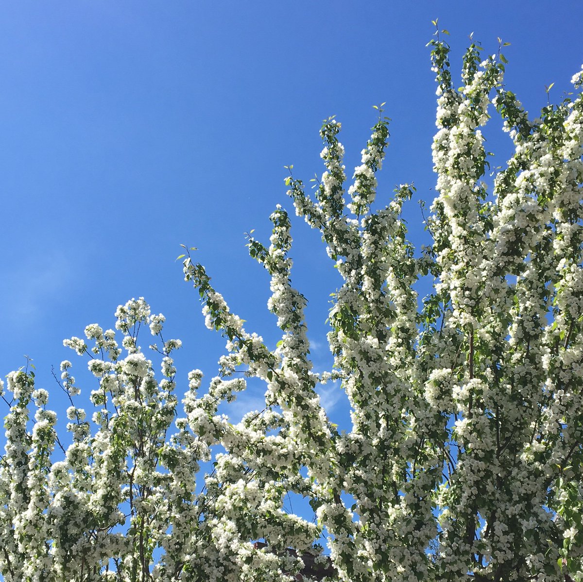 Spring out. Go wild. Get inspired, read our blog here: bit.ly/2IFF4cR 🙌🌸
#organiccotton #springtime #yogafashion