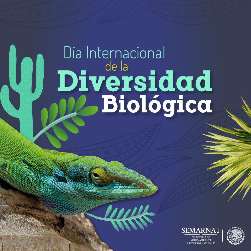 Hoy es el #DíaDeLaDiversidadBiológica. 🤩 Con apenas el 1% de la superficie del planeta, México resguarda más del diez por ciento de la biodiversidad mundial. 🤗🌵❤️🇲🇽  Somos #MéxicoMegadiverso. ⭐️🌎🌍🌏