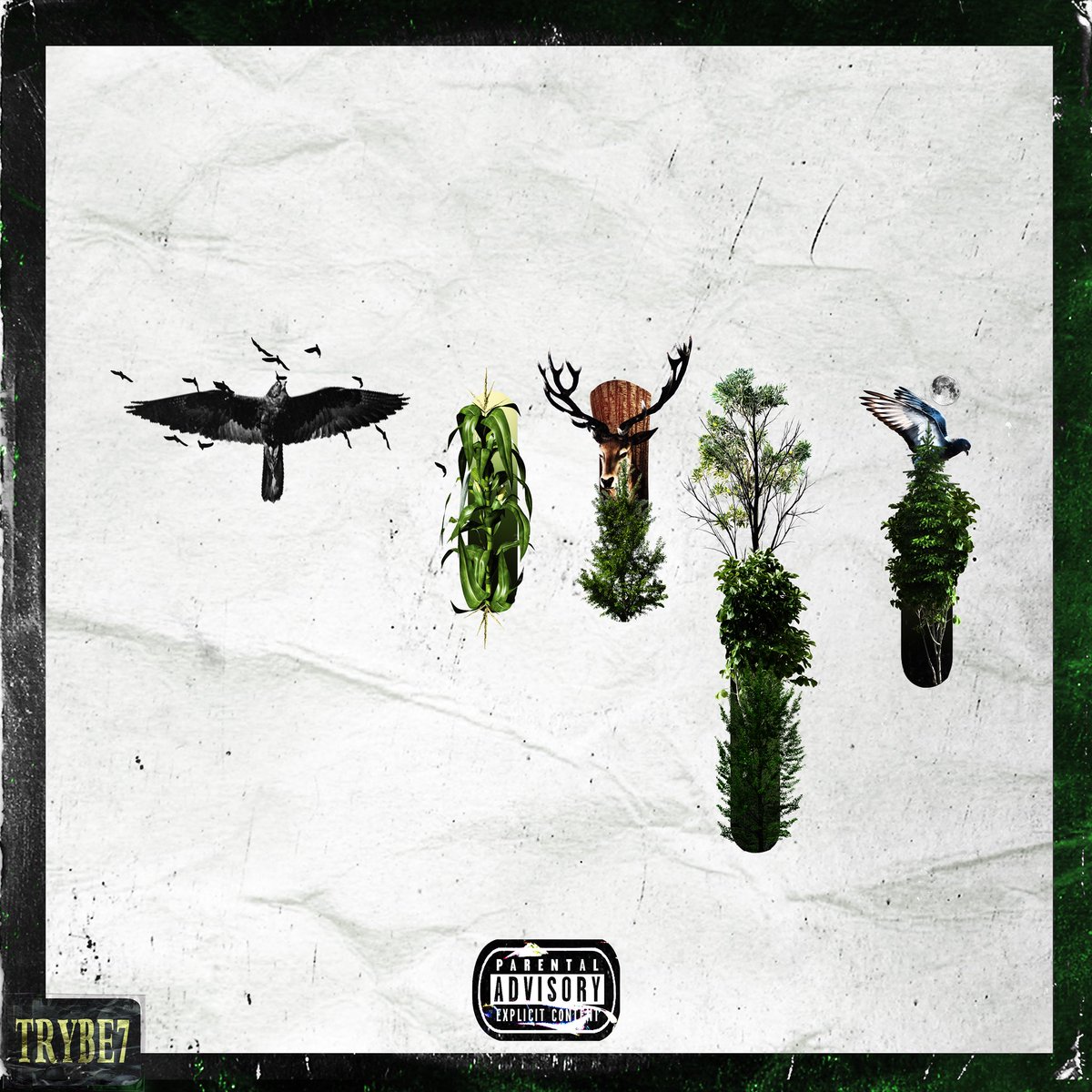 TRYBE7's tweet photo. Midwest Natives Vol. 1 π± May 24th π² #trybe7 https://t.co/8Hi9LSKp7X
